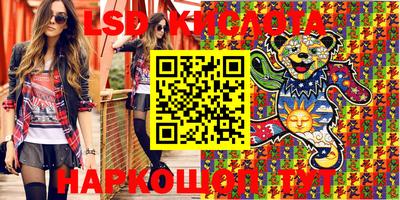 твердый Новодвинск