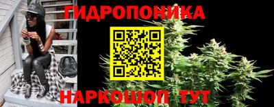 твердый Новодвинск