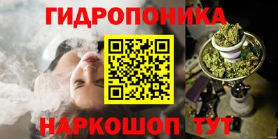 твердый Новодвинск