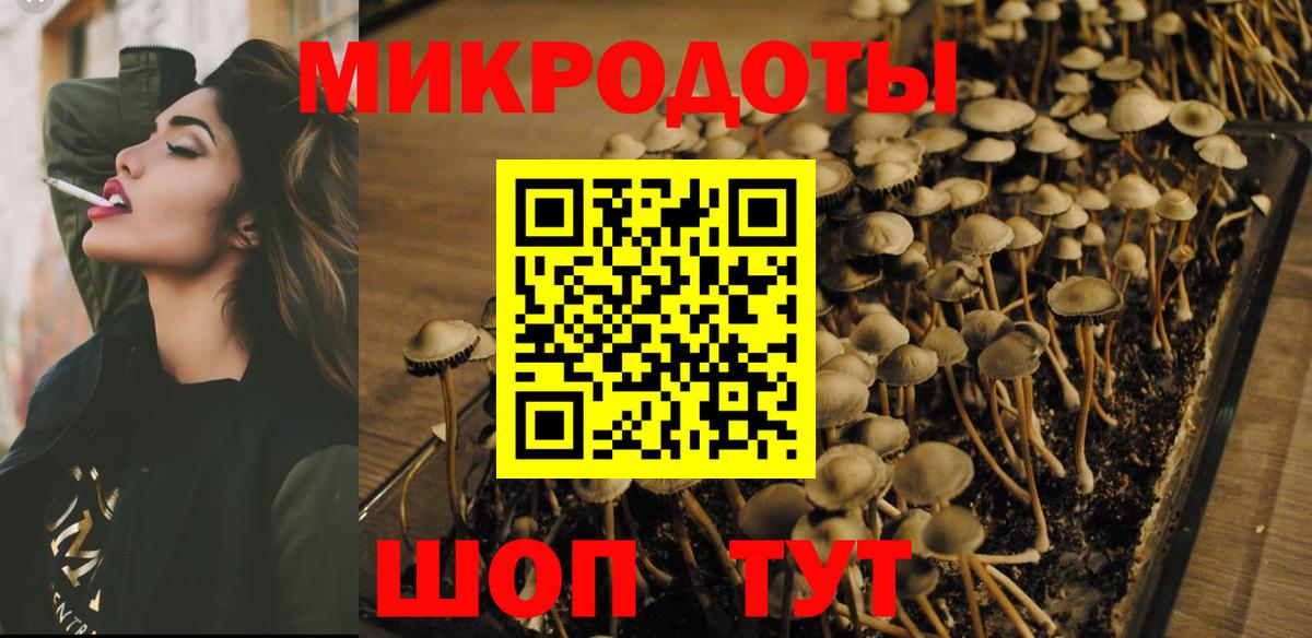 Советская Гавань  Галлюциногенные грибы ЛСД  Вход с VPN  Галлюциногенные грибы MAGIC MUSHROOMS 